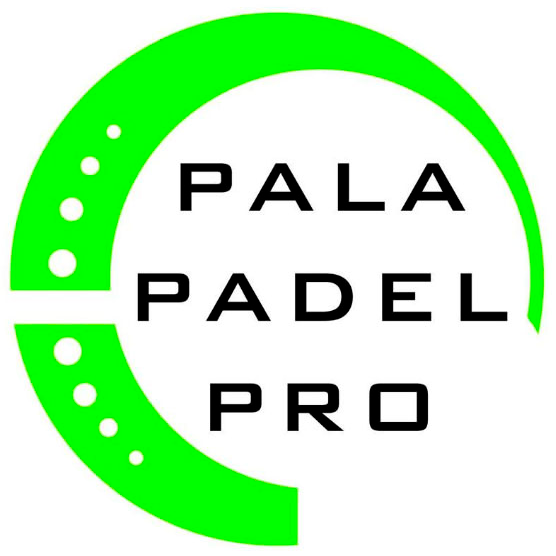 Pala Padel Head FLASH PRO 228251 (sin funda) - Deportes Manzanedo
